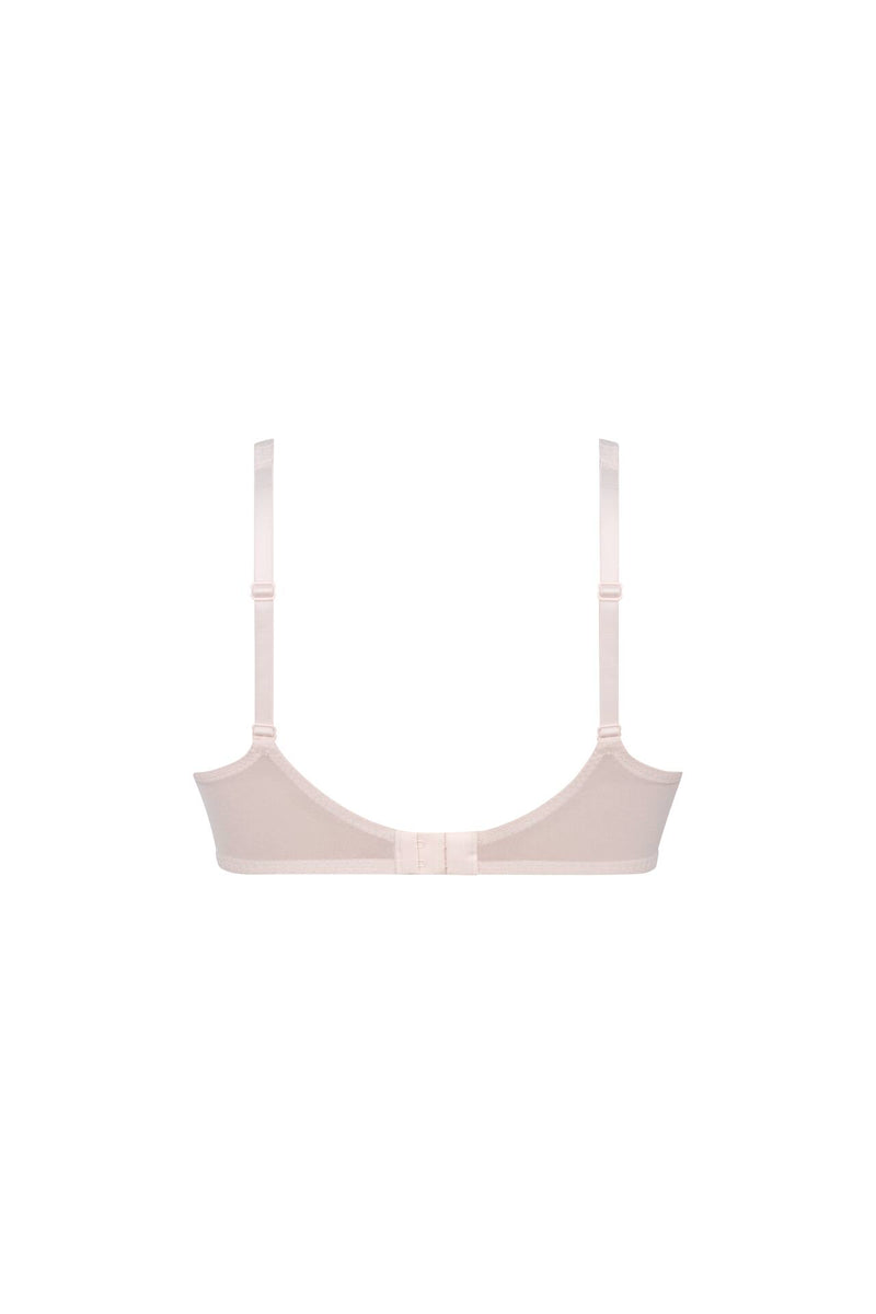 ROSA FAIA - 5294 ELOISE - 574 ROSE
