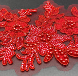 APPLICAZIONE 14170 RUBINO