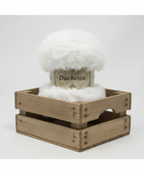 FILATO SILKE - DUCHESSA