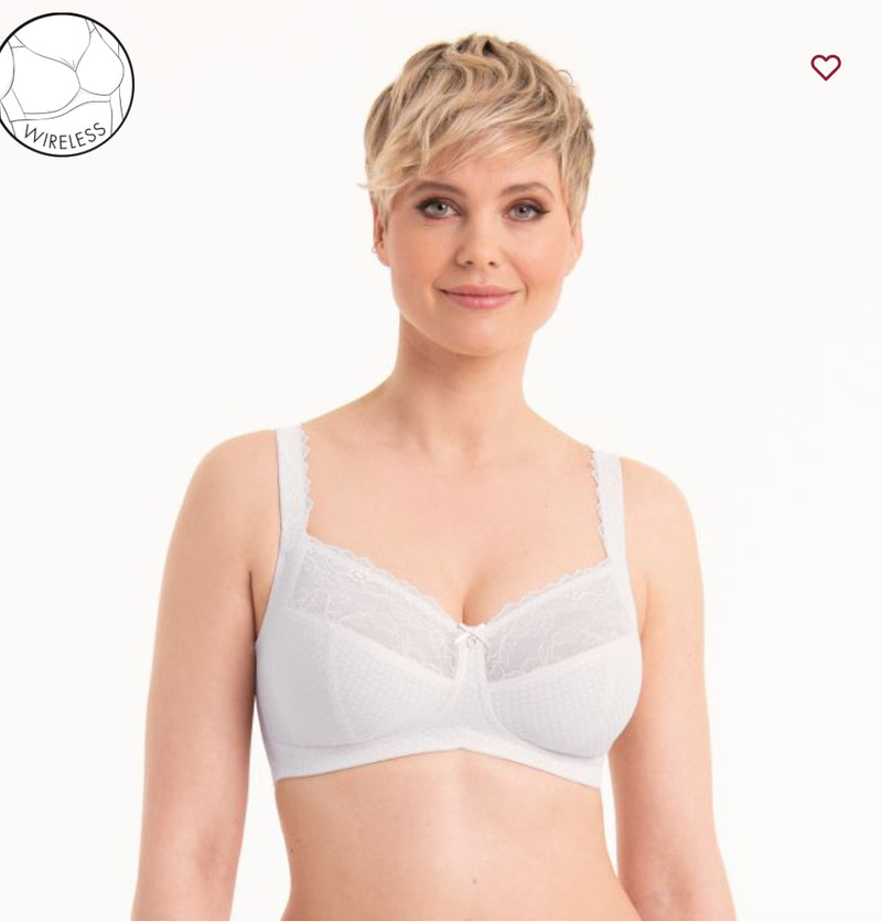 ROSA FAIA -ELOISE  5296 574 ROSE