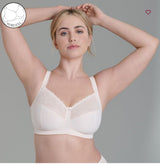 ROSA FAIA -ELOISE  5296 574 ROSE