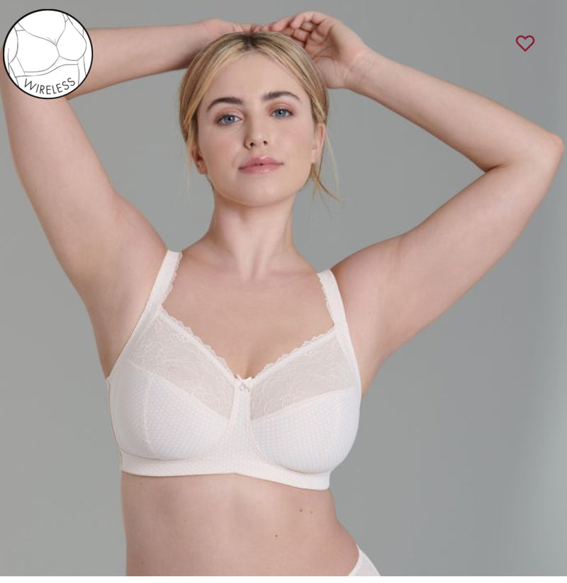 ROSA FAIA -ELOISE  5296 574 ROSE