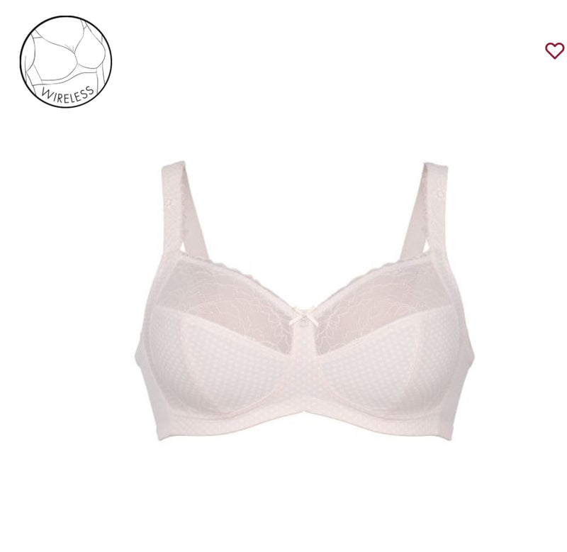 ROSA FAIA -ELOISE  5296 574 ROSE